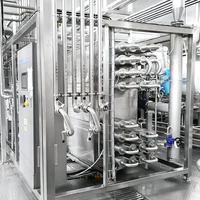 Kokosnoot water verwerking machine/amandelmelk productielijn/vruchtensap verwerking