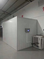 Four de séchage intégré, déshydrateur alimentaire, moteur électrique, traitement des aliments, sécheur multifonctionnel pour raisins, poissons, légumes, fruits, 220V