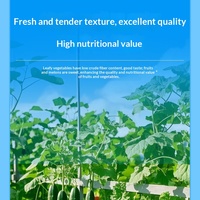 Engrais organique Aishangke pour potager, culture de fleurs, plantation sur balcon - Fournitures de jardinage fabriquées en Chine