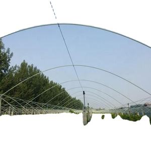 Piquet de jardin en fibre de verre pour plantes supportant et grimpant - Product Image 4