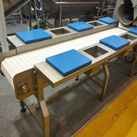 Automatische fruitproductielijn met pasteurisator en mixer, capaciteit 1200-1600 kg/uur, vermogen 5500 kW