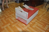 Cages à pigeons d'élevage en couches, cages à oiseaux en forme de château, cages de transport en plastique pour cailles et pigeons