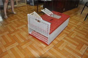 Gabbie per Allevamento Piccioni a Più Livelli, Gabbie per Uccelli a Forma di Castello, Gabbia di Trasporto in Plastica per Quaglie e Piccioni - Product Image 2