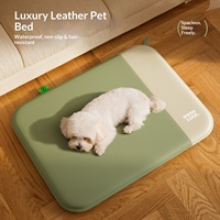 Tapis de luxe simple en éponge pour chien et chat, toutes saisons, imperméable, respirant, amovible, lavable, pour animaux de compagnie d'intérieur