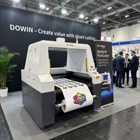 Machine de découpe de film laser DOWIN 100W avec caméra CCD et alimentation automatique pour film DTF, film AB, autocollant UV DTF, étiquette cristal CE
