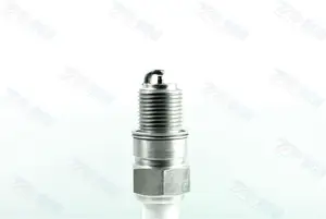 Popular Spark Plug 69919D Natural Gas Spark Plug 60999Z With Tech Supports