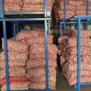 天然白色新鲜好农大蒜浓郁香气健康食品受欢迎印度尼西亚清真认证好价格霸王普蒂 - Product Image 6