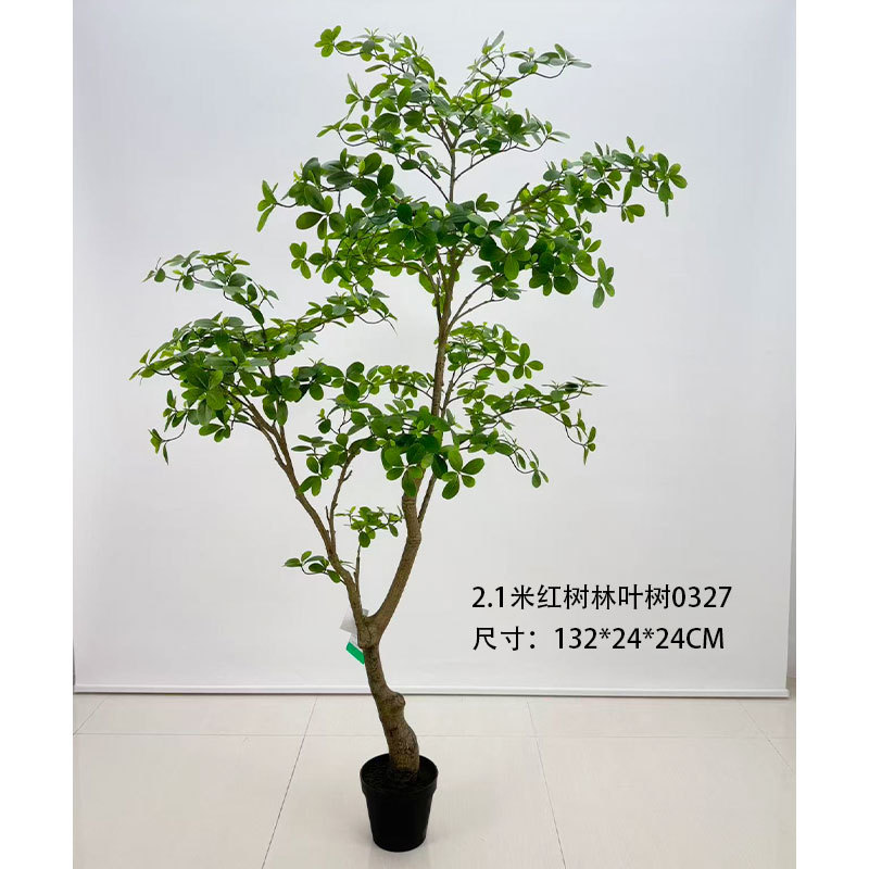Arbre à feuilles de mangrove de 2,1 mètres 0327