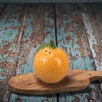 Sels et poivrières en céramique personnalisables, pots à épices pour la cuisine, objets décoratifs pour les accessoires de cuisine, outils