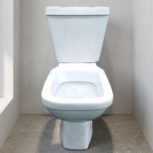 Inodoro de cerámica de dos piezas Vistaar American Square, montado en el suelo, con doble descarga, para baños. - Product Image 4