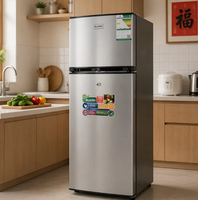 Réfrigérateur domestique double porte C 138L, réfrigération et congélation, conservation des aliments, en stock