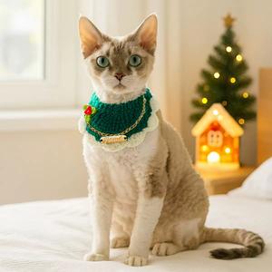 Suministros para Mascotas <span class=keywords><strong>2026</strong></span>, Conjunto de Ropa Navideña para Mascotas, <span class=keywords><strong>Collar</strong></span> de Peluche con Campana, Lazo para el Cuello, Gorro Cálido para las Fiestas para Gatos y Perros - Product Image 1