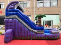 Château gonflable en vinyle robuste de qualité commerciale à vendre, château gonflable idéal pour les enfants de tous les sexes