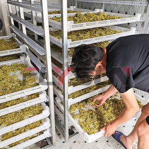 ขายตรงจากโรงงาน เตาอบแห้งผักอัตโนมัติอเนกประสงค์สำหรับถั่วฝักยาว พร้อมระบบ PLC ปั๊ม มอเตอร์ สแตนเลส 304 - Product Image 6