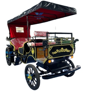 Transport spécial sans cheval de chariot de mandrin de visite électrique de 6 places d'approvisionnement d'usine d'OEM à un prix - Product Image 5