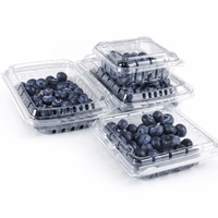 Emballage jetable en plastique PET pour myrtilles, conteneur transparent en forme de coquille pour fruits rouges