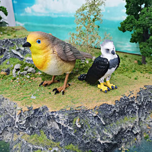 Vogel Beeldje Set Canary Robin Harpy Eagle Kids Educatief Dier Speelgoed Desktop Decoratie Model - Product Image 2