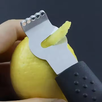 Vente en gros d'outils de haute qualité pour pommes de terre et agrumes Râpe à citron manuelle en acier inoxydable