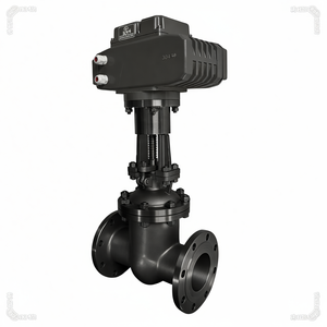 Válvulas Eléctricas Covna, Venta de Liquidación B2B, Válvula de Compuerta Eléctrica Motorizada de Acero Inoxidable, Válvula de Compuerta Eléctrica Modulante AC220V - Product Image 4