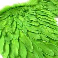 Factory Custom Party Event Festival Zubehör Parade Karneval Masked Ball Angel Wings St. Patrick's Day Grüne Feder flügel