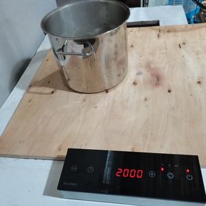 Placa de Inducción Oculta Invisible Bajo Encimera Personalizada de Fábrica OEM/ODM con Media Puente - Product Image 5