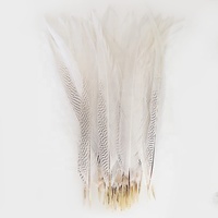 Plumes décoratives en gros à prix abordable, grandes plumes de faisan blanches teintées argentées pour l'artisanat et les festivals