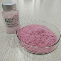 Poudre de fruits de fraises sauvages 100% extraite par solvant, qualité alimentaire pour la cuisine et la pâtisserie, certifiée ISO9001/Halal/Kosher, emballage en fût