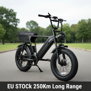 Bicicleta Eléctrica Y20 Plus al por Mayor de Fábrica, Barata, de 20 Pulgadas para Entrega de Comida en Rusia, 48V250W, Cuadro de Acero, Neumático Ancho, Motor Trasero Electrónico - Product Image 1