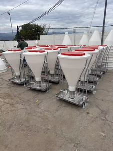 Directement du fabricant : Mangeoires en acier inoxydable, machines d'alimentation pour porcs, <span class=keywords><strong>auge</strong></span> à alimentation humide et sèche - Product Image 2