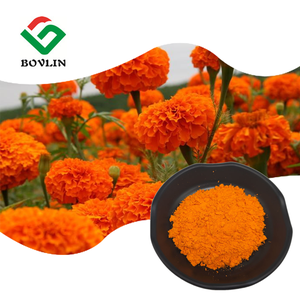 Liposomal Lutein Tozu Gıda Sınıfı Portakal Tozu %10 Kadife Çiçeği Ekstresi Fabrika Tedariki Şişe/Fıçı Ambalajında - Product Image 3