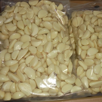 Vente en gros d'ail pelé à bas prix en provenance de Chine, ail pelé frais de la nouvelle récolte, et gousses d'ail fraîches