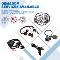 Assemblage de câbles professionnels en Chine Fabricant OEM ODM Faisceau de câblage personnalisé Kit complet pour moteur de piste auto BMW WV