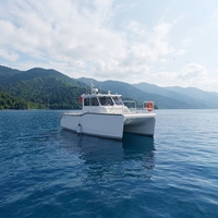 Bateau catamaran en aluminium soudé CE 10m, 12 places, deux moteurs, pour croisière océanique et pêche sportive