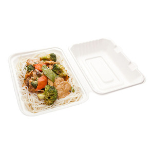 biodegradable Disposable Takeaway food container 9*6Inch 2 compartment sugarcane bagasse box clamshell
