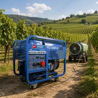 Générateur diesel YC12GF-3 12 kW avec moteur bicylindre YC2E92, cylindrée 997 cm³, groupe électrogène diesel à châssis ouvert, démarrage électrique