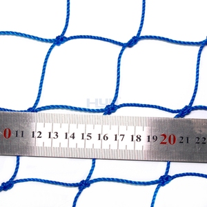 Tùy chỉnh HDPE thắt nút chim <span class=keywords><strong>net</strong></span>-Cut-to-Size cho ao cá & trang trại Việt Quất - Product Image 4