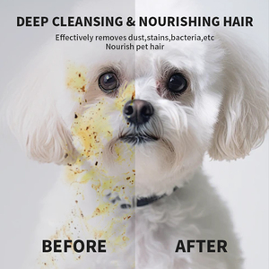 Lingettes pour animaux de compagnie, pour chiens et chats, paquet de 6 pièces, hypoallergéniques, non parfumées, nettoyantes et désodorisantes - Product Image 3