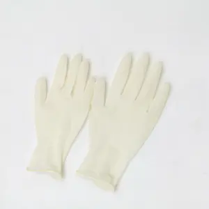 Xingli Powder Free Disposables Food Grade Hotel Pvc Vinyl Latex White Tattoo Latex Gloves