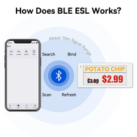Solusi ritel cerdas pabrik Hipoink Bluetooth ESL 2.13 inci tiga warna Tag harga belanja Digital