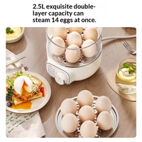 Cuiseur à œufs électrique automatique en acier inoxydable 304, double couche, arrêt automatique, minuterie 30 minutes, compact, pour petit-déjeuner domestique