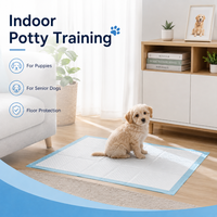 Almohadillas Absorbentes Desechables para Perros, con Núcleo de Pulpa Absorbente y Revestimiento Impermeable