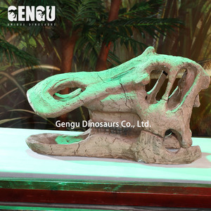 Animatronic modelo interior patio de recreo decoración fibra de vidrio T Rex cráneo fósil - Product Image 5