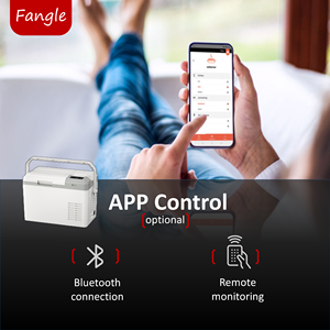 Super nevera 9L Mini 12 voltios pequeño refrigerador Mini refrigerador portátil coche nevera congelador - Product Image 3