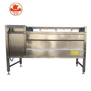 Machine à laver et à éplucher <span class=keywords><strong>Casava</strong></span> Machine à broyer <span class=keywords><strong>Casava</strong></span> - Product Image 3