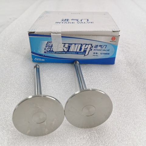 Genuine Marine Boat Ship Heavy Truck Use Weichai diesel Engine 226B WP4 Intake Exhaust Valve 12159606 for Sale