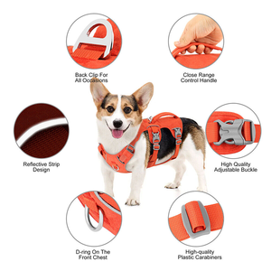 Mighty <span class=keywords><strong>Paw</strong></span> Sport harnes anjing poliester tahan lama dengan dirancang agar sesuai dengan tubuh anjing untuk anjing berjalan di luar ruangan - Product Image 4