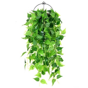 Plante artificielle Sentai Pothos 100 cm, guirlande de lierre vert suspendue, plante décorative d'intérieur en plastique à fixer au mur - Product Image 5