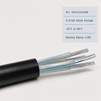 Câble d'alimentation pour conduits intérieurs, âme en aluminium, isolation XLPE, gaine en PVC, pour systèmes électriques de bâtiments