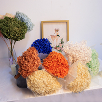 Fournitures de fleurs séchées : Tête d'hortensia véritable stabilisée, grand feuillage, couleur violette, pour la décoration intérieure