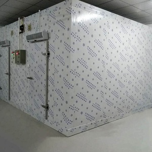 <span class=keywords><strong>Chambre</strong></span> froide à <span class=keywords><strong>prix</strong></span> d'usine pour fruits et légumes avec compresseur Copeland, taille personnalisable, 380V, garantie 1 an - Product Image 6
